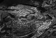 Mesa Verde Cliff Face 1060 bw